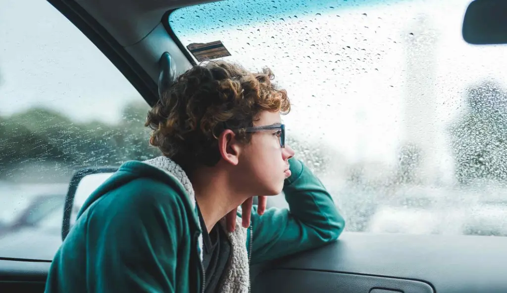 Recognizing & Dealing with PAS in New York | Call (516) 334-4100