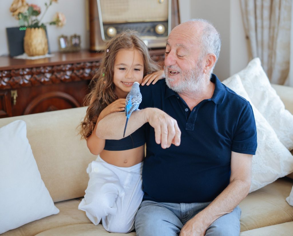 Can grandparents’ rights be terminated in New York? Hedayati Law